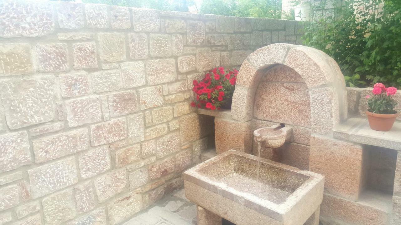 מלון Voskopojë Pashuta מראה חיצוני תמונה